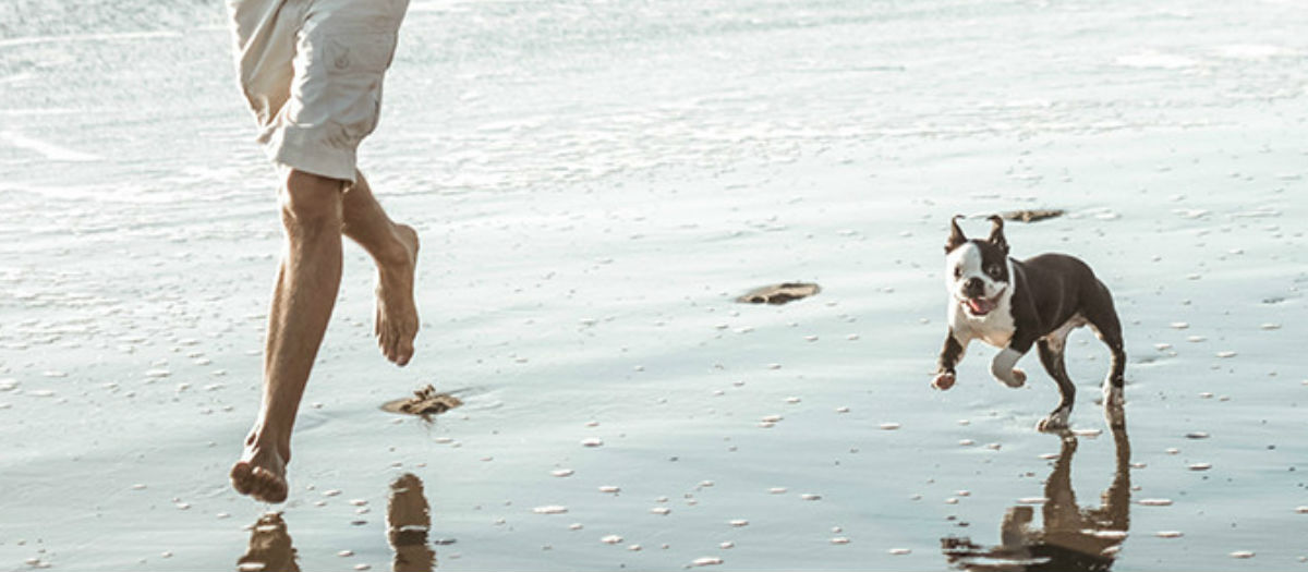 Weight Loss and Movement